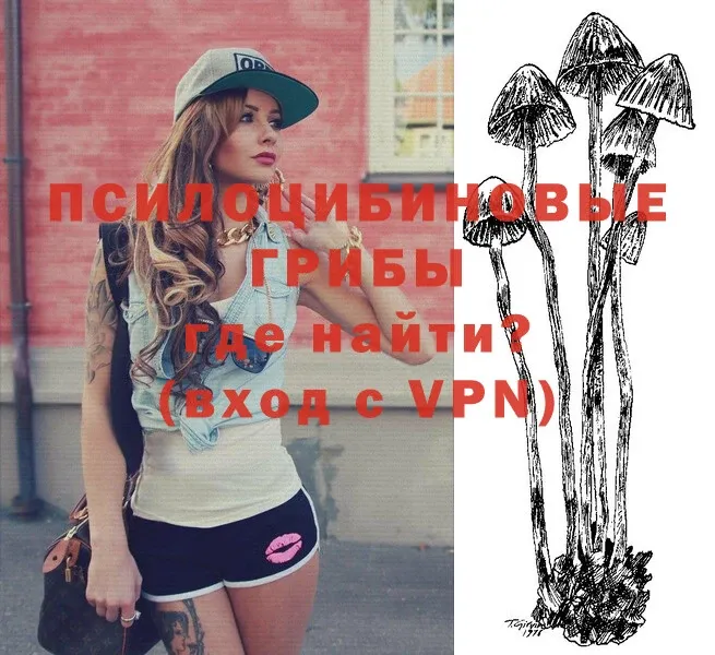 OMG рабочий сайт  Шагонар  Галлюциногенные грибы Psilocybe 